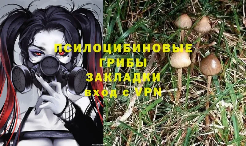 мега ссылка  Нововоронеж  Псилоцибиновые грибы MAGIC MUSHROOMS 